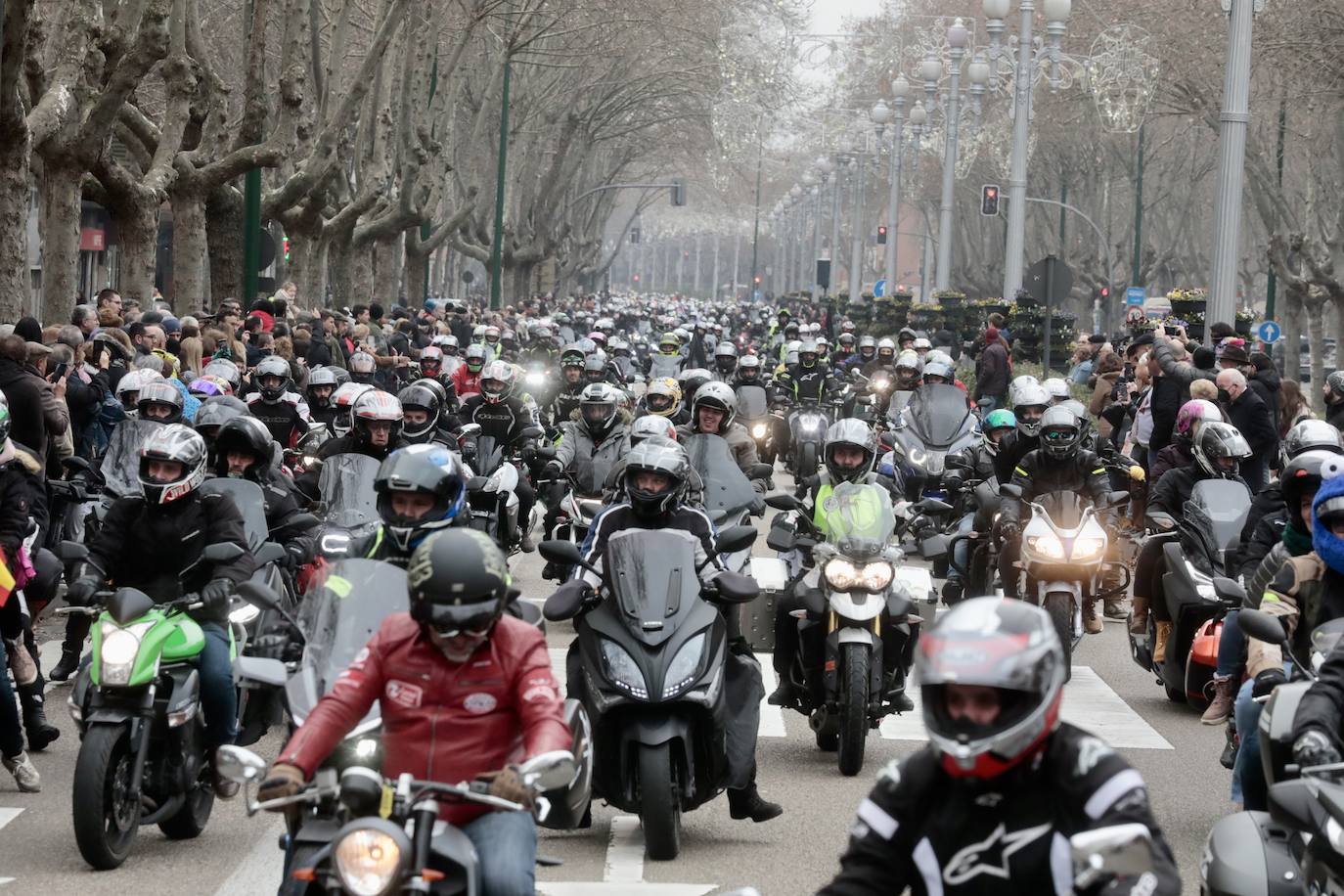 Fotos: Desfile de banderas en Pingüinos 2023 (2/4)