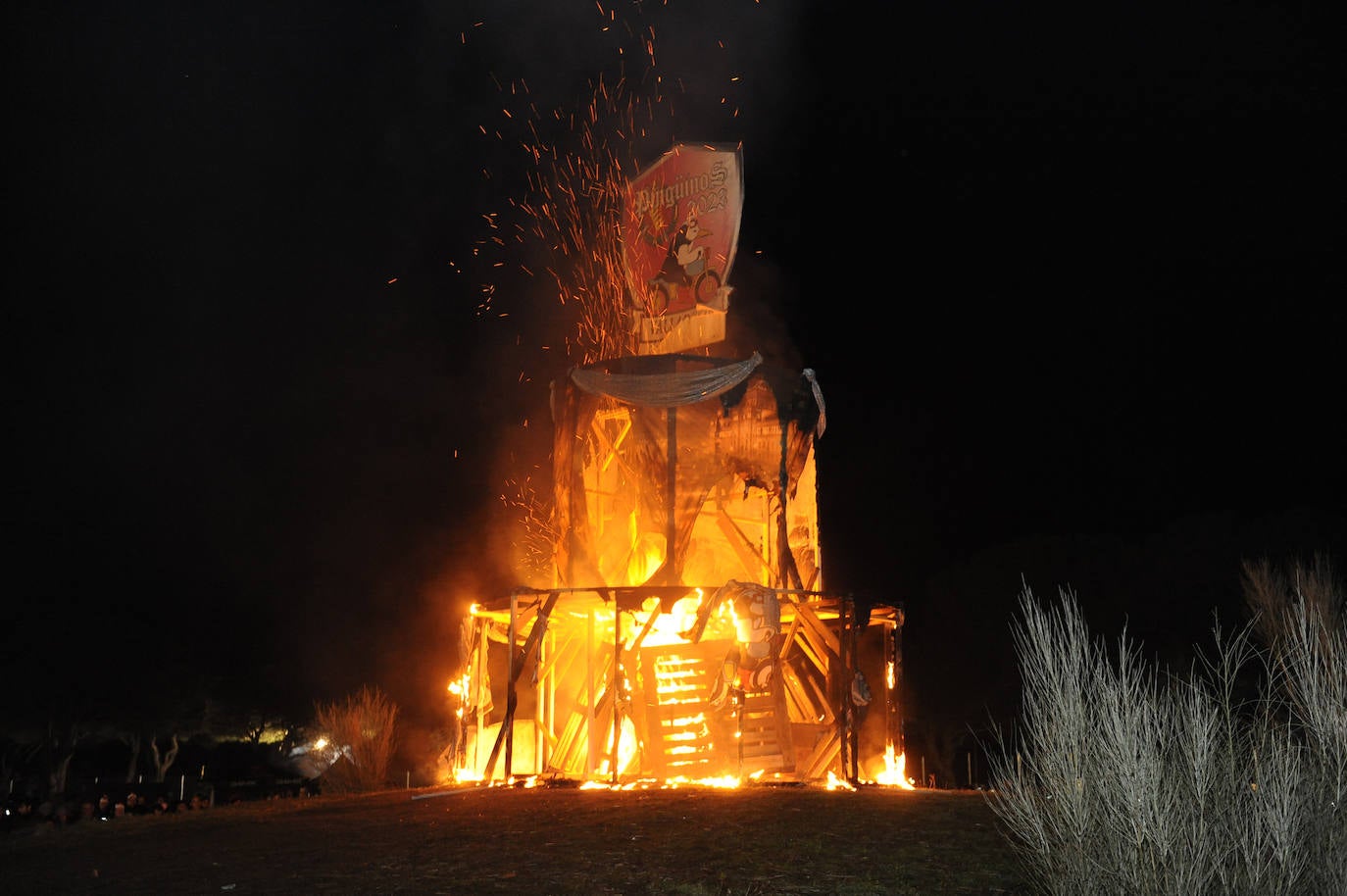 Fotos: Sábado por la noche en Pingüinos