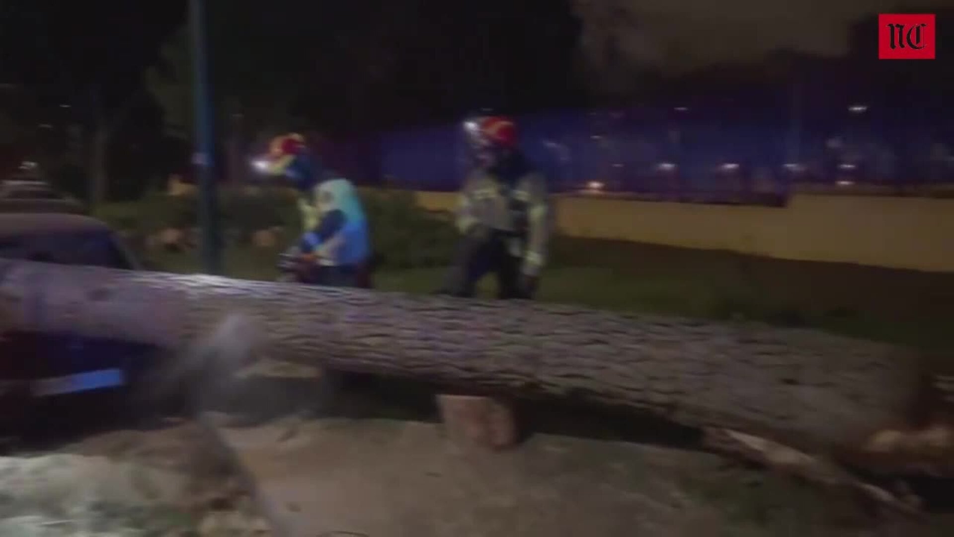 Un árbol se desploma y golpea dos vehículos aparcados en Huerta del Rey