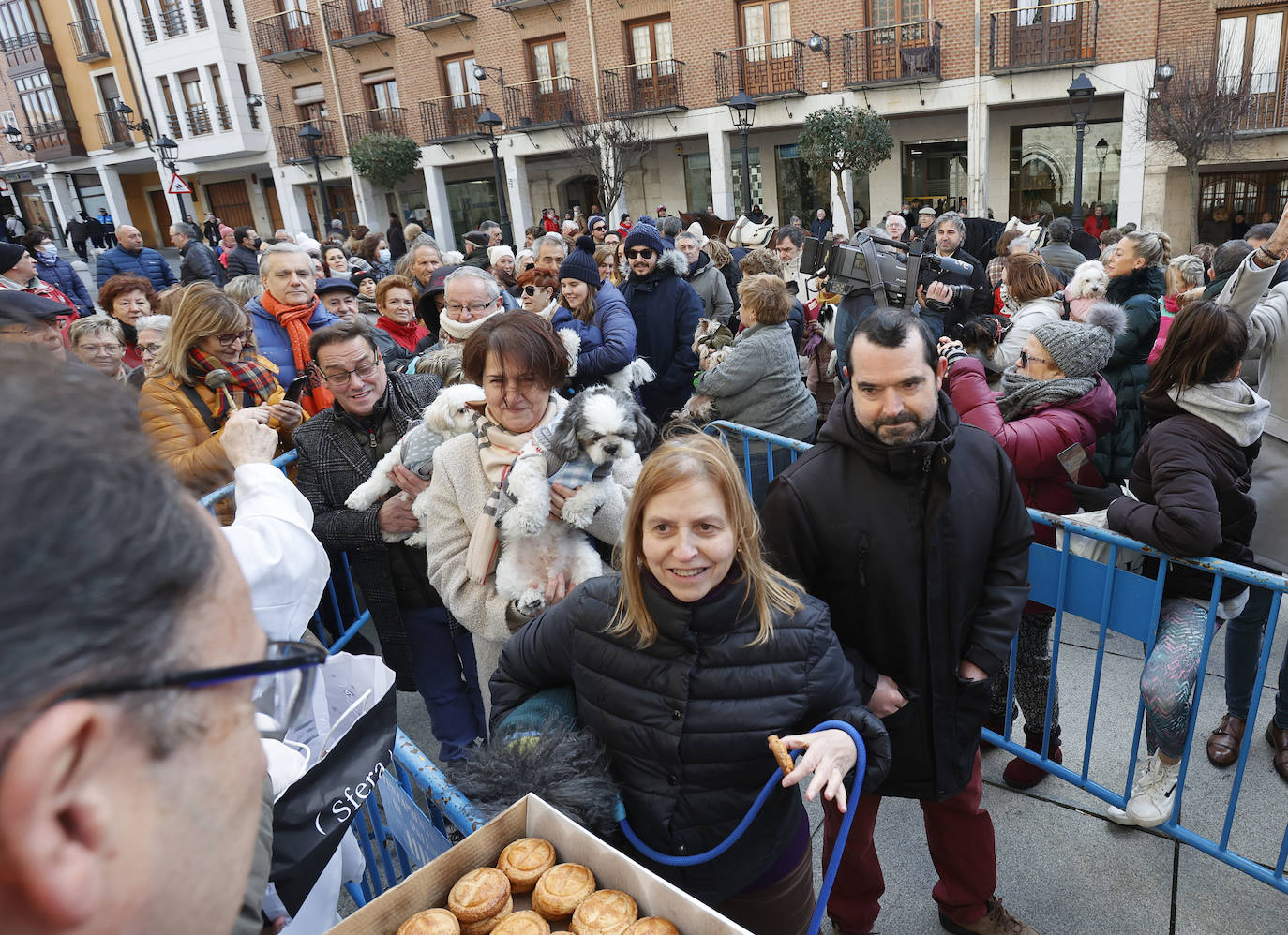 Fotos: Bendición de animales en Palencia