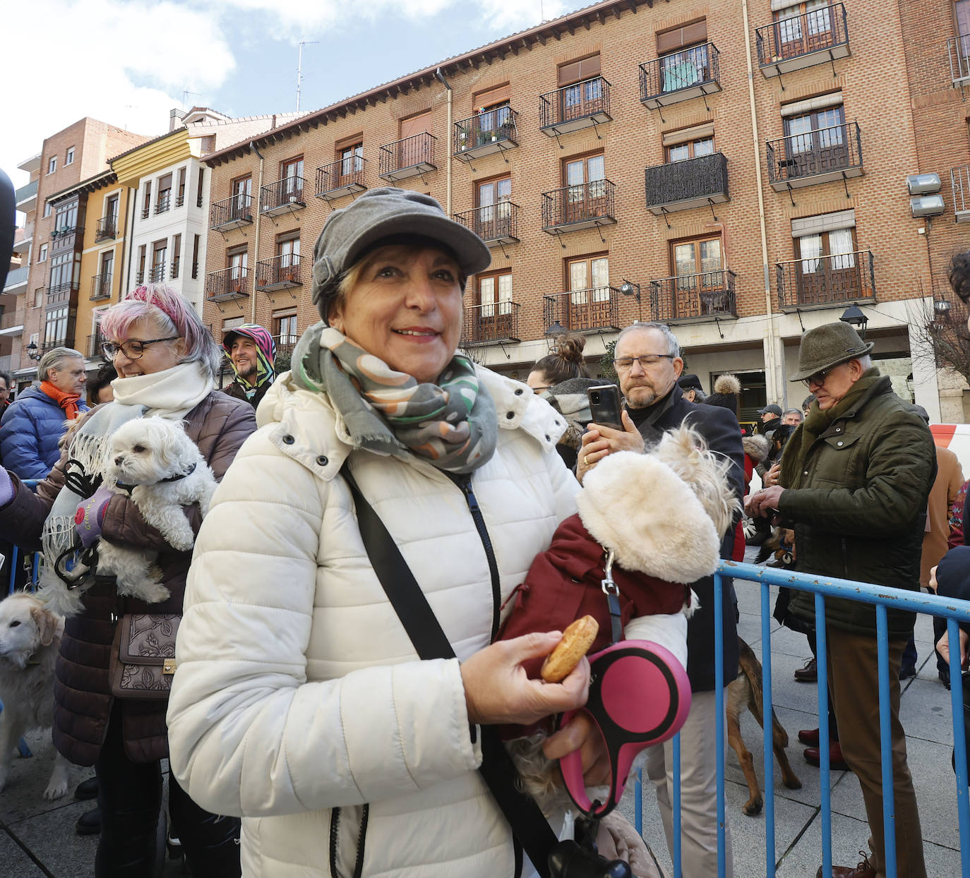 Fotos: Bendición de animales en Palencia