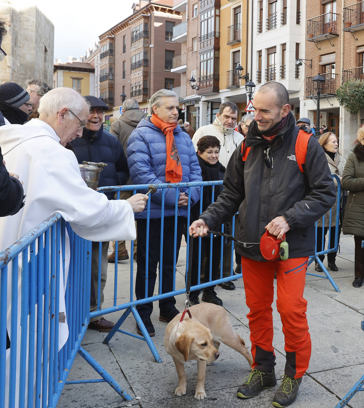 Fotos: Bendición de animales en Palencia