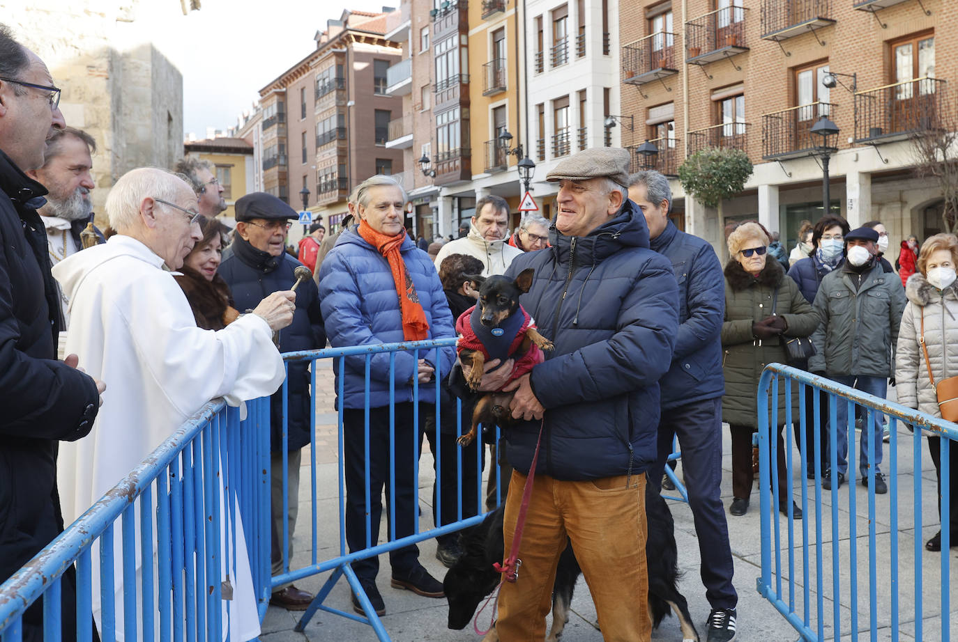 Fotos: Bendición de animales en Palencia