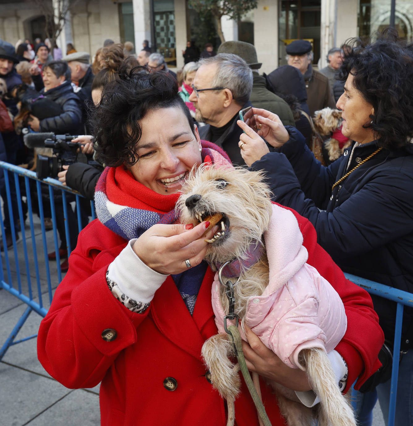 Fotos: Bendición de animales en Palencia