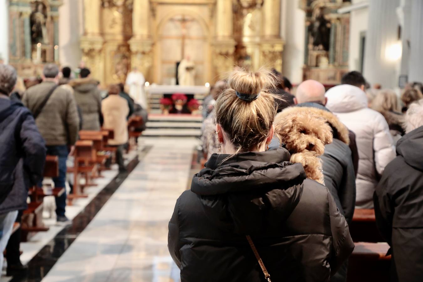 Fotos: Bendición de animales por San Antón en Valladolid