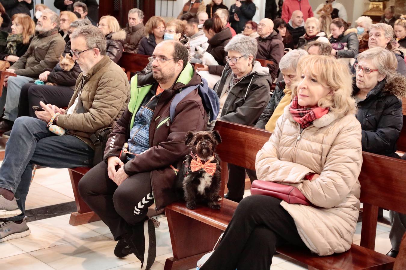 Fotos: Bendición de animales por San Antón en Valladolid