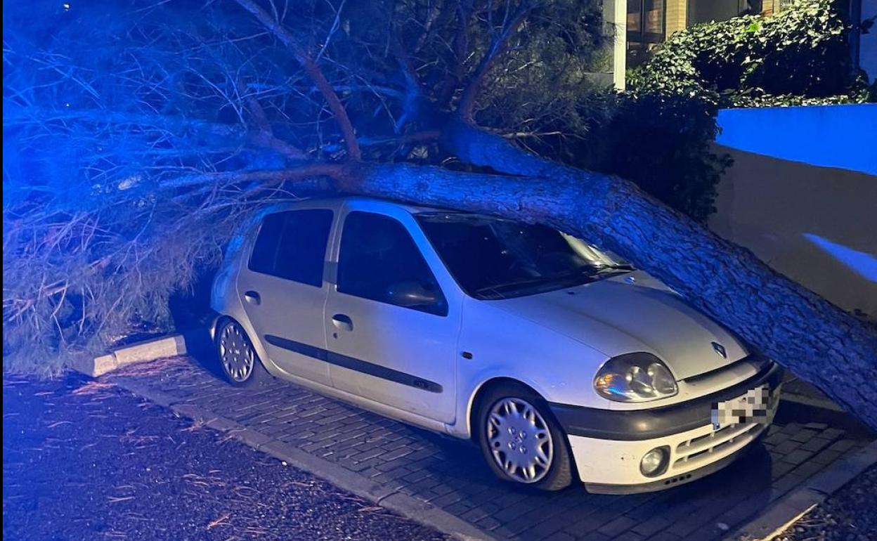 Árbol caído sobre un coche estacionado en Laguna de Duero.