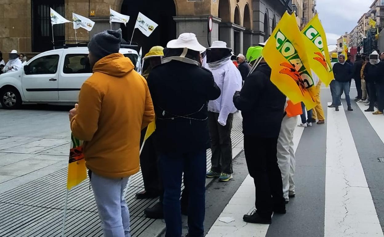 Algunos de los apicultores que han marchado por las calles de Salamanca ante la Subdelegación del Gobierno.