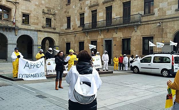 Imagen principal - Los apicultores marchan en Salamanca por la supervivencia del sector