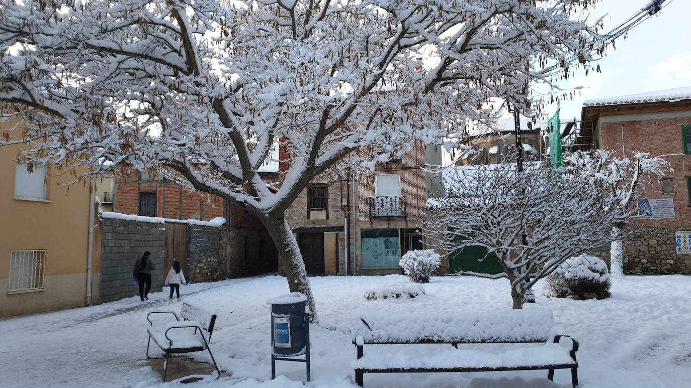 Fotos: La nieve persiste en la Montaña Palentina