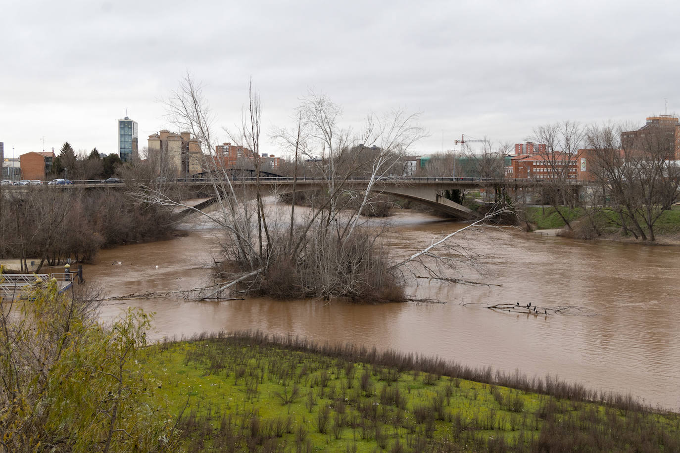 Fotos: El Pisuerga alcanza su caudal pico del año a su paso por Valladolid