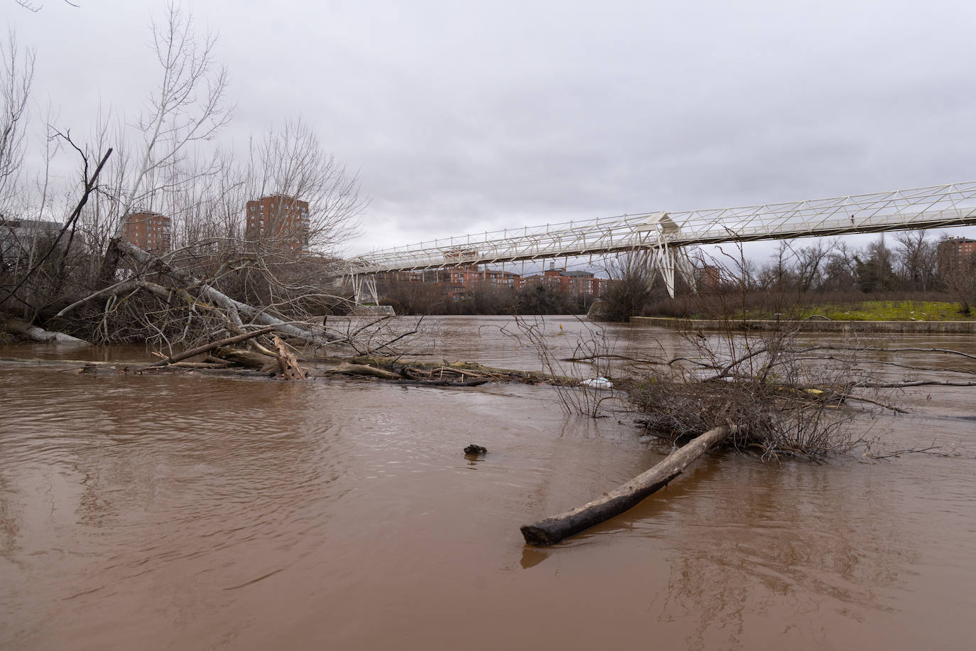 Fotos: El Pisuerga alcanza su caudal pico del año a su paso por Valladolid