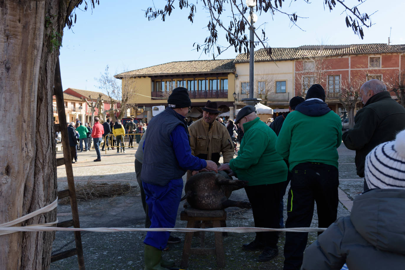 Fotos: Becerril de Campos vive la Fiesta de Invierno