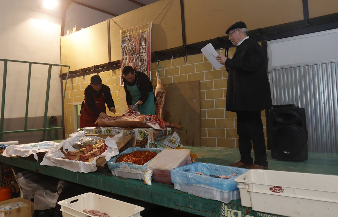 Fotos: Fiesta de San Antón en Autilla del Pino