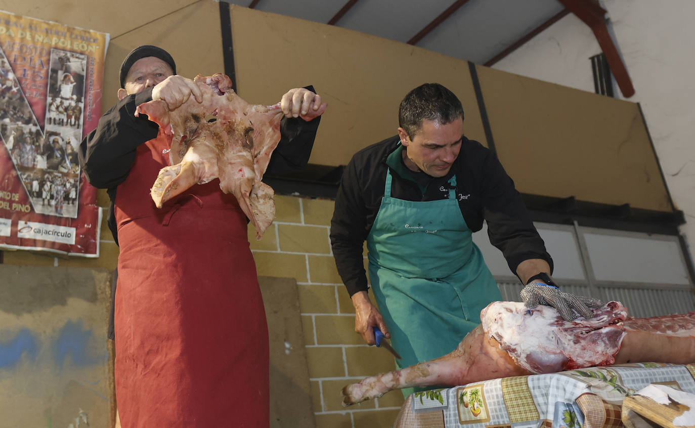 Fotos: Fiesta de San Antón en Autilla del Pino