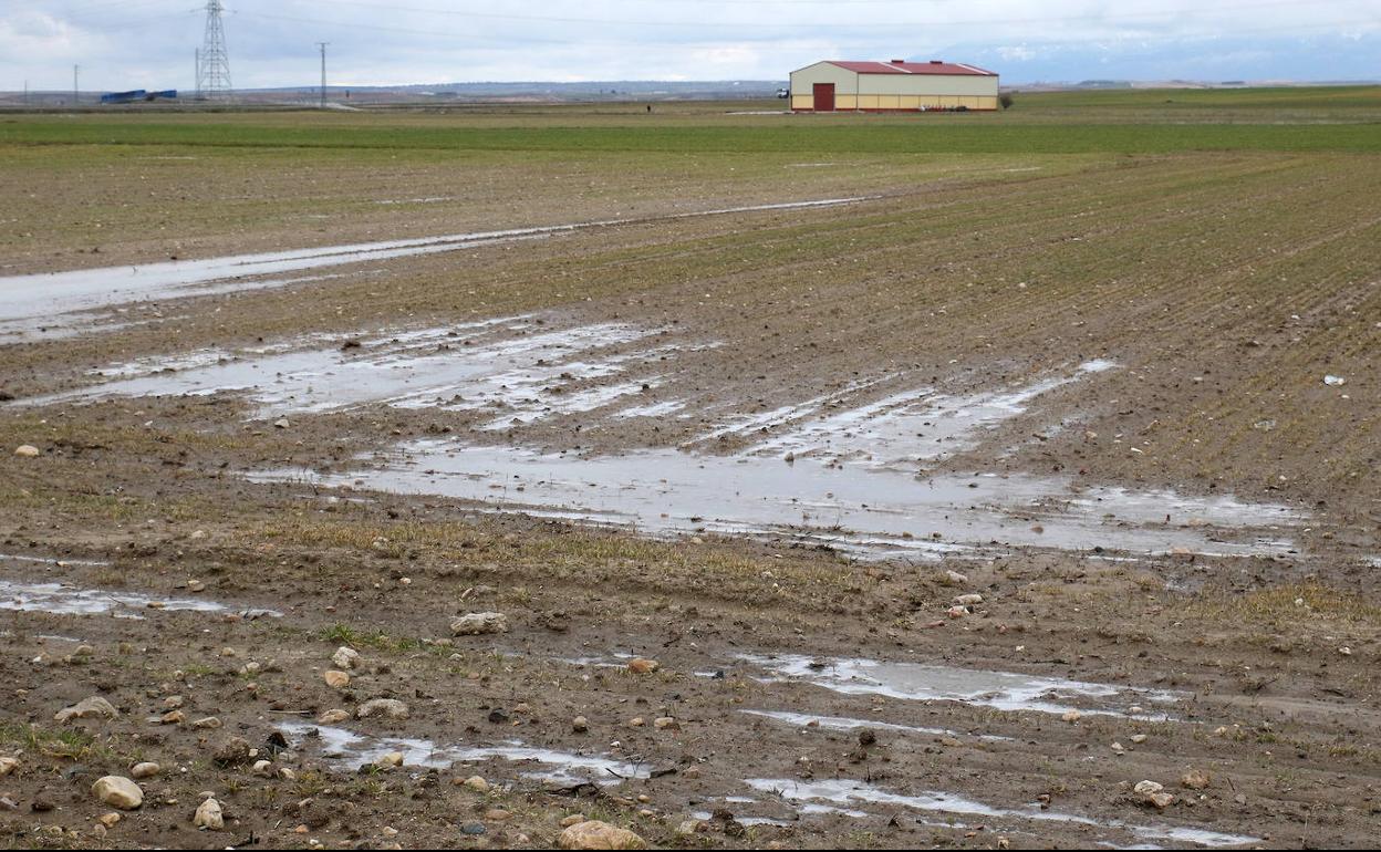 Balsas de hielo presentes en una tierra de la provincia de Segovia. 