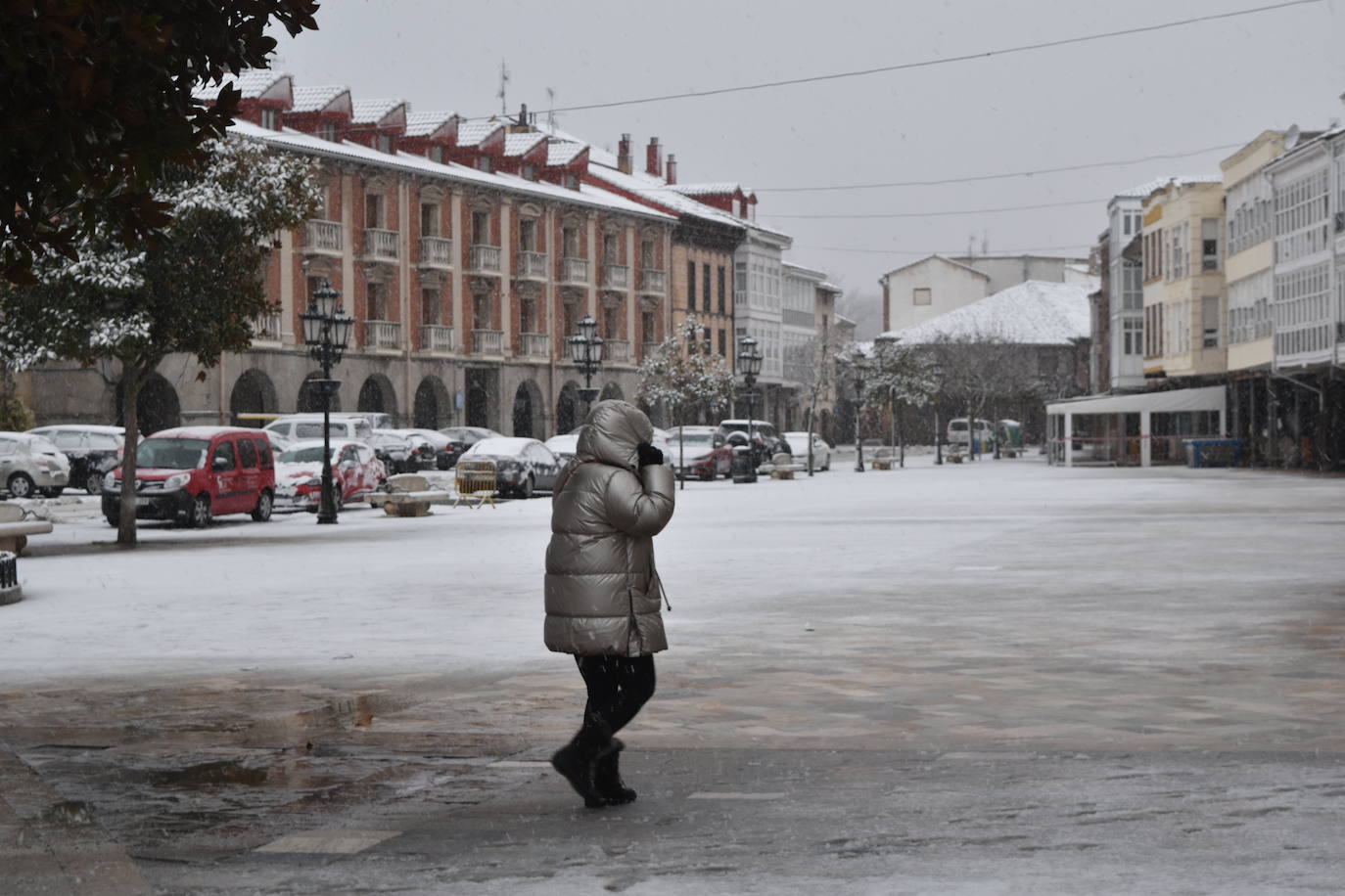 Fotos: Segunda nevada en 2023 en la provincia de Palencia