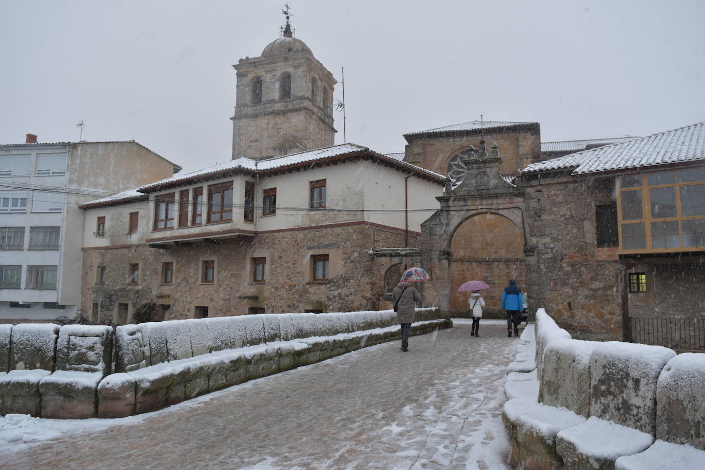 Fotos: Segunda nevada en 2023 en la provincia de Palencia