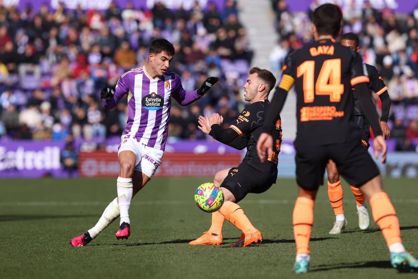 Fotos: El partido entre el Real Valladolid y el Valencia, en imágenes (2/2)