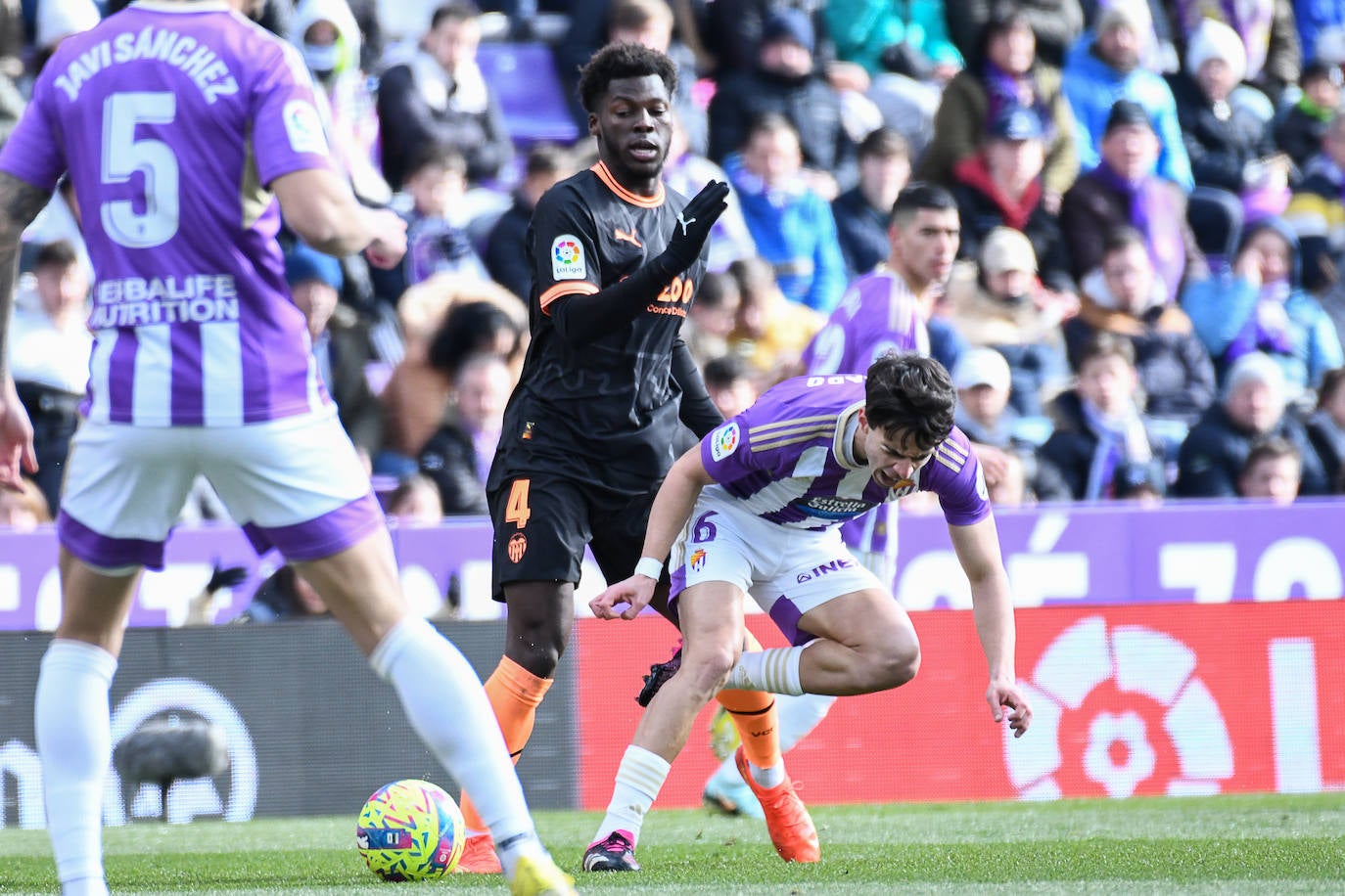 Fotos: El partido entre el Real Valladolid y el Valencia, en imágenes (1/2)