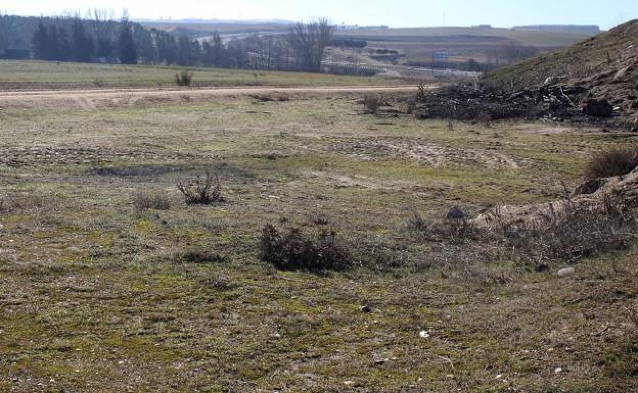 Entorno en el que se construirá la planta de biogás de Carbonero el Mayor, con la autovía al fondo. 