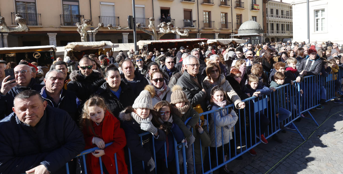 El quemado y despiece del cerdo, la degustación de chichurro y el concurso de cocina en directo de Platos del Cerdo colman de actividades la Plaza Mayor