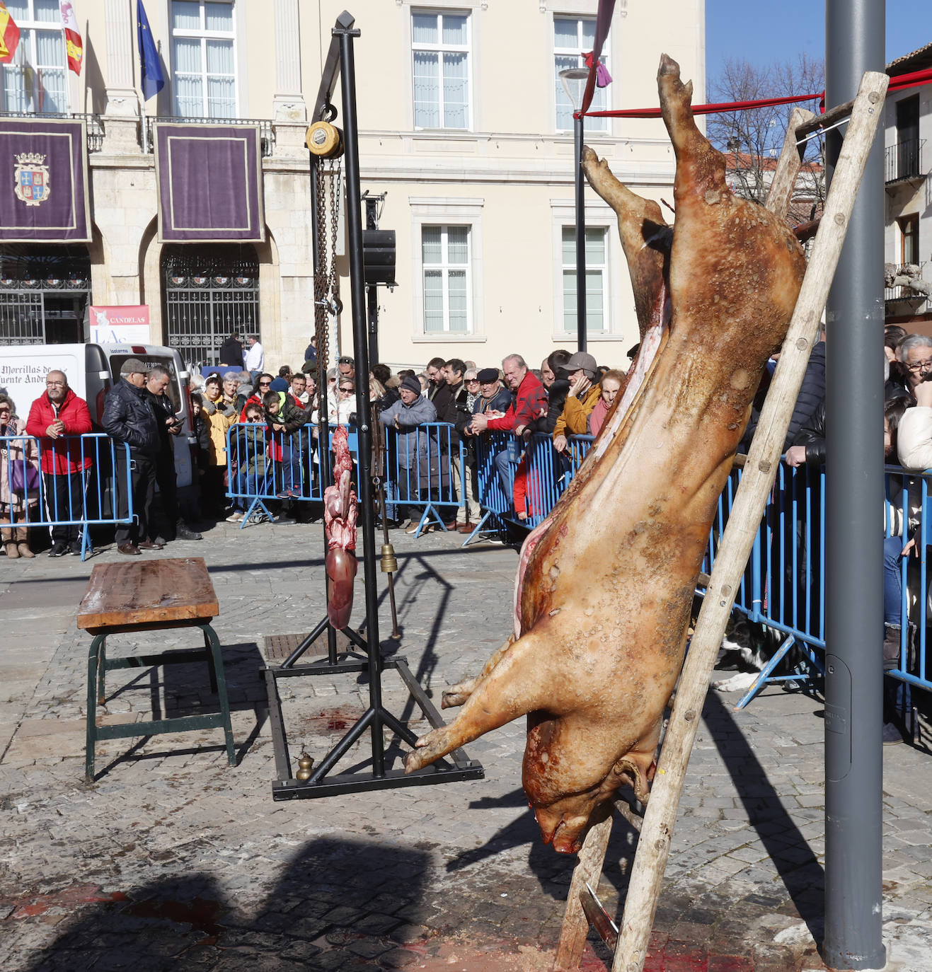 El quemado y despiece del cerdo, la degustación de chichurro y el concurso de cocina en directo de Platos del Cerdo colman de actividades la Plaza Mayor