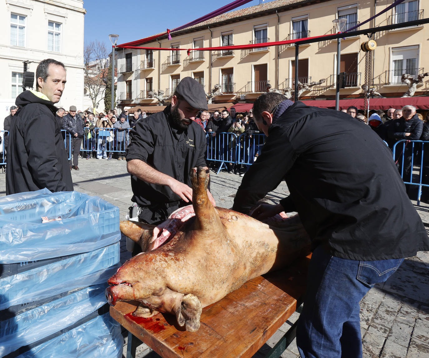 El quemado y despiece del cerdo, la degustación de chichurro y el concurso de cocina en directo de Platos del Cerdo colman de actividades la Plaza Mayor