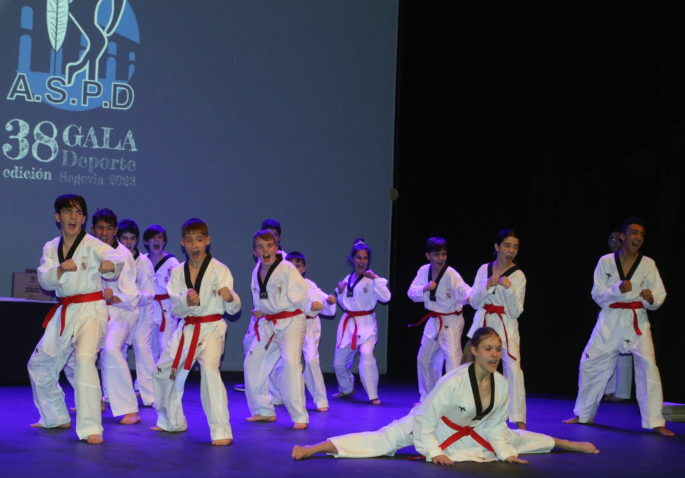 Gala del Deporte en Segovia. 