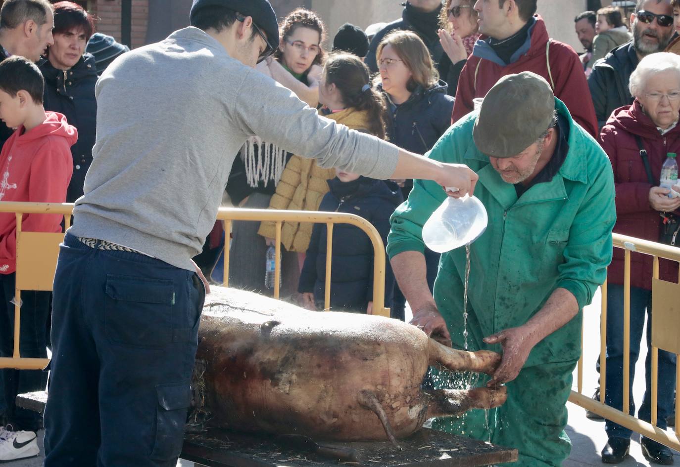 Fotos: Fiesta de la Matanza del cerdo en Simancas