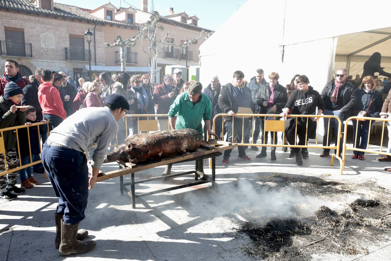 Fotos: Fiesta de la Matanza del cerdo en Simancas