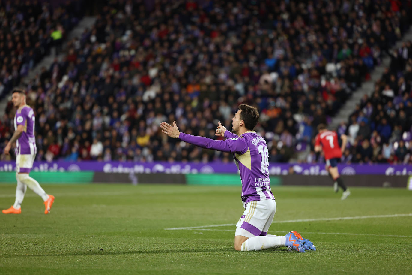 Fotos: Real Valladolid 0 - 0 Osasuna (2/2)