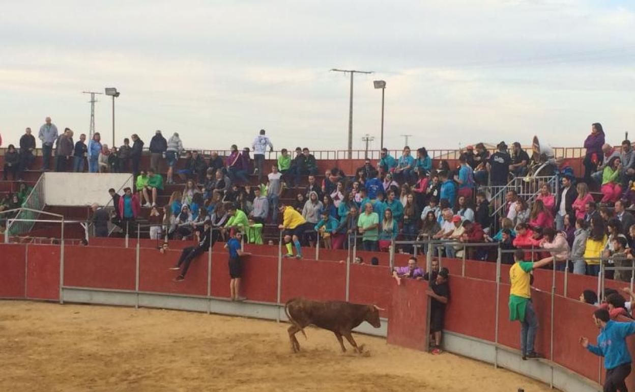 Capea en la plaza de toros de Paredes, en una imagen de archivo. 