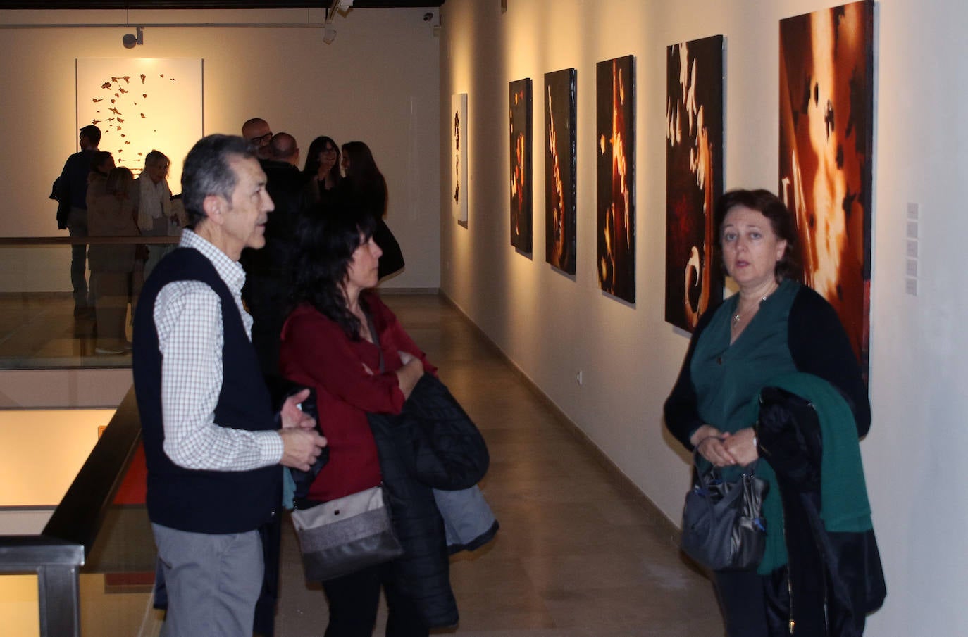 Exposición de Luis Moro en el Museo Esteban Vicente. 