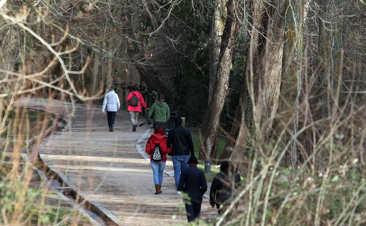 Árboles en la alameda del Parral.