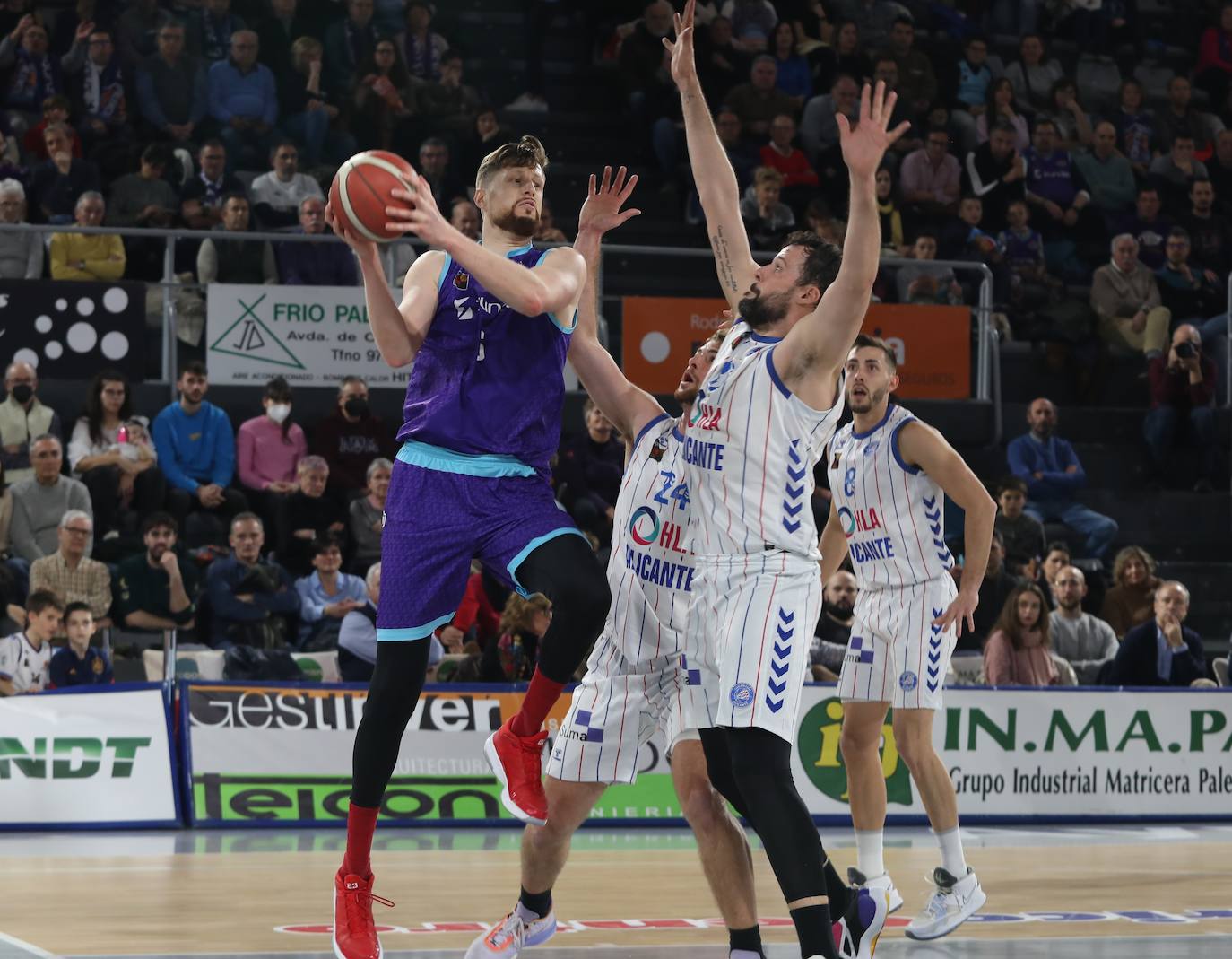 Fotos: Otra victoria para el Zunder con el Alicante (87-79)