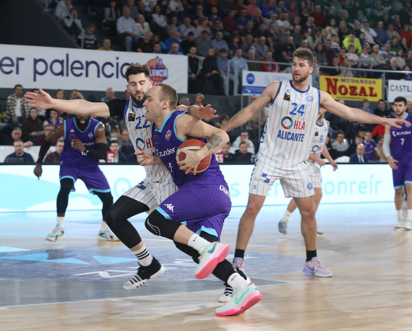 Fotos: Otra victoria para el Zunder con el Alicante (87-79)