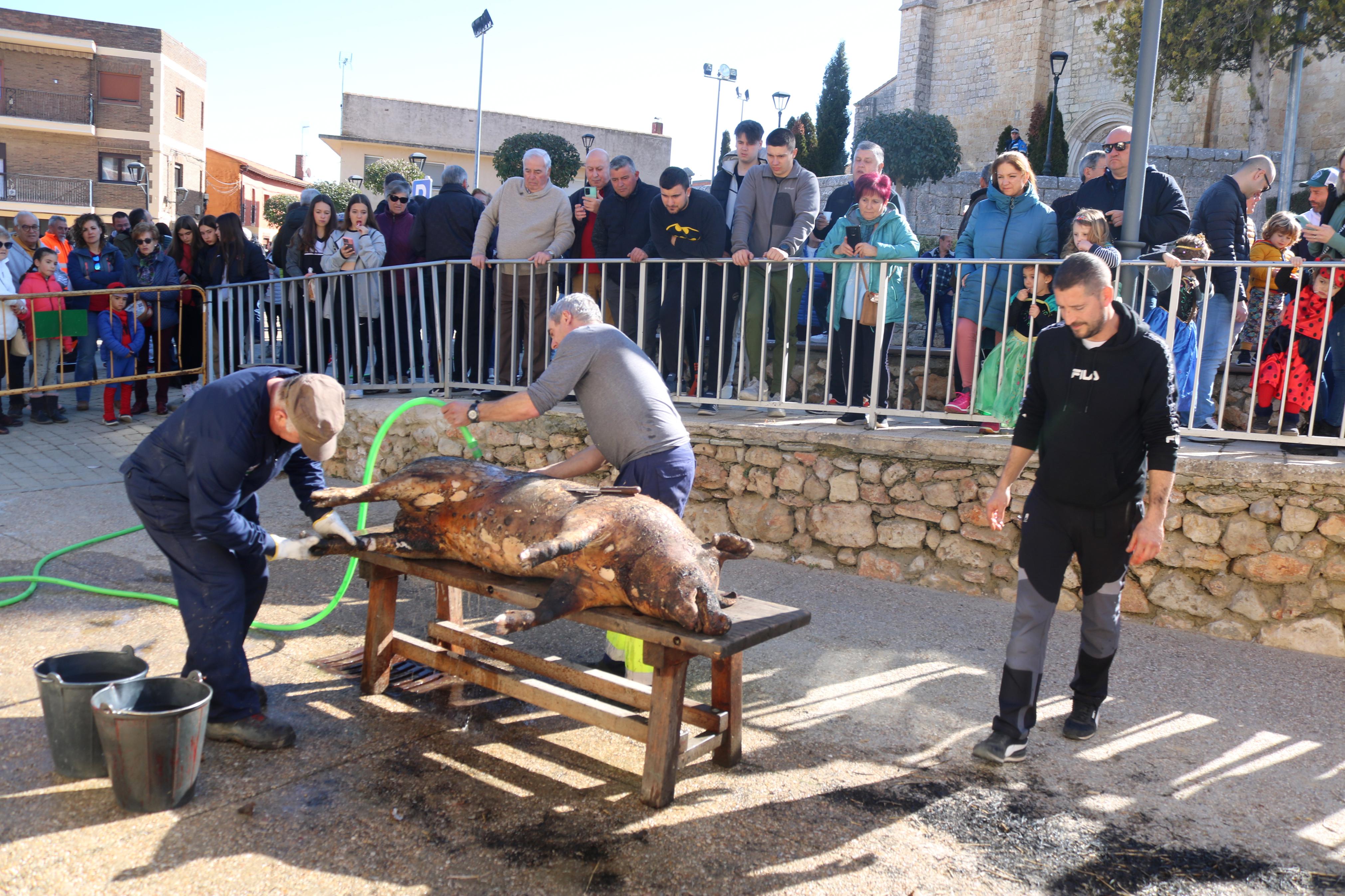 Villamuriel de Cerrato vivió una jornada festiva con música, danzas y gastronomía