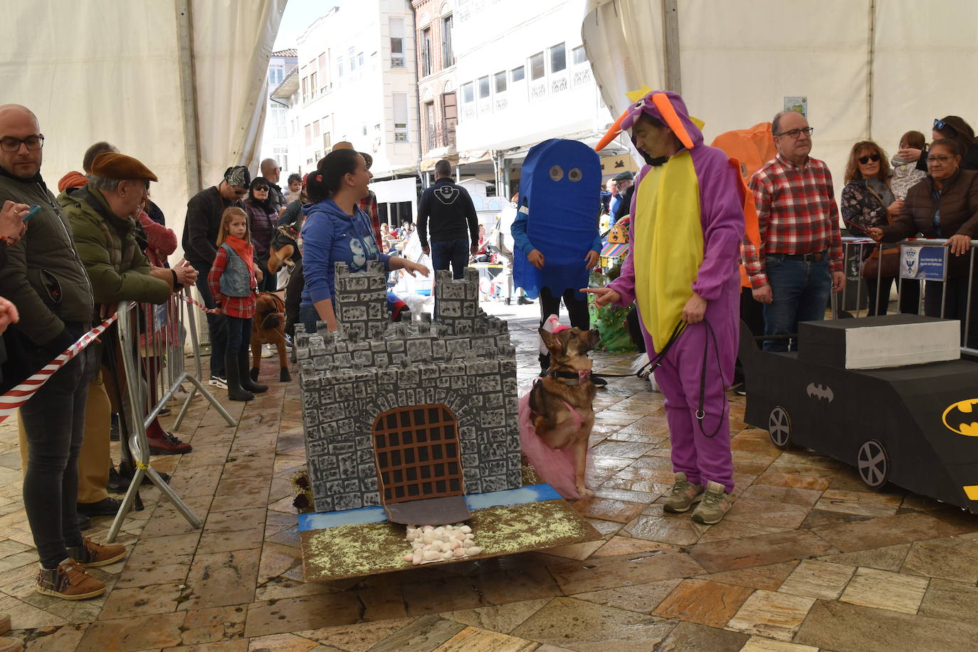 Fotos: Las mascotas se disfrazan en el Carnaval de la Galleta