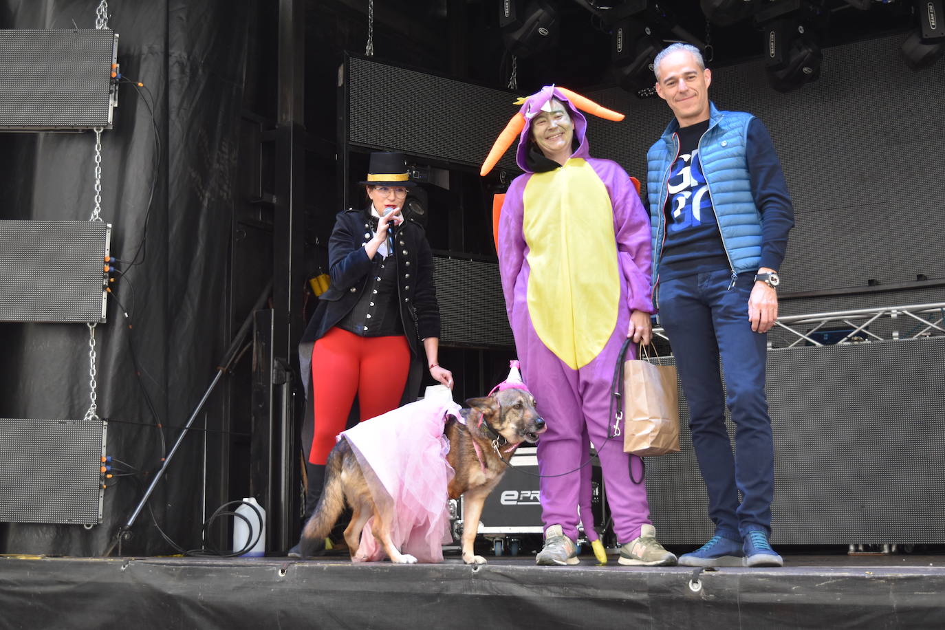 Fotos: Las mascotas se disfrazan en el Carnaval de la Galleta