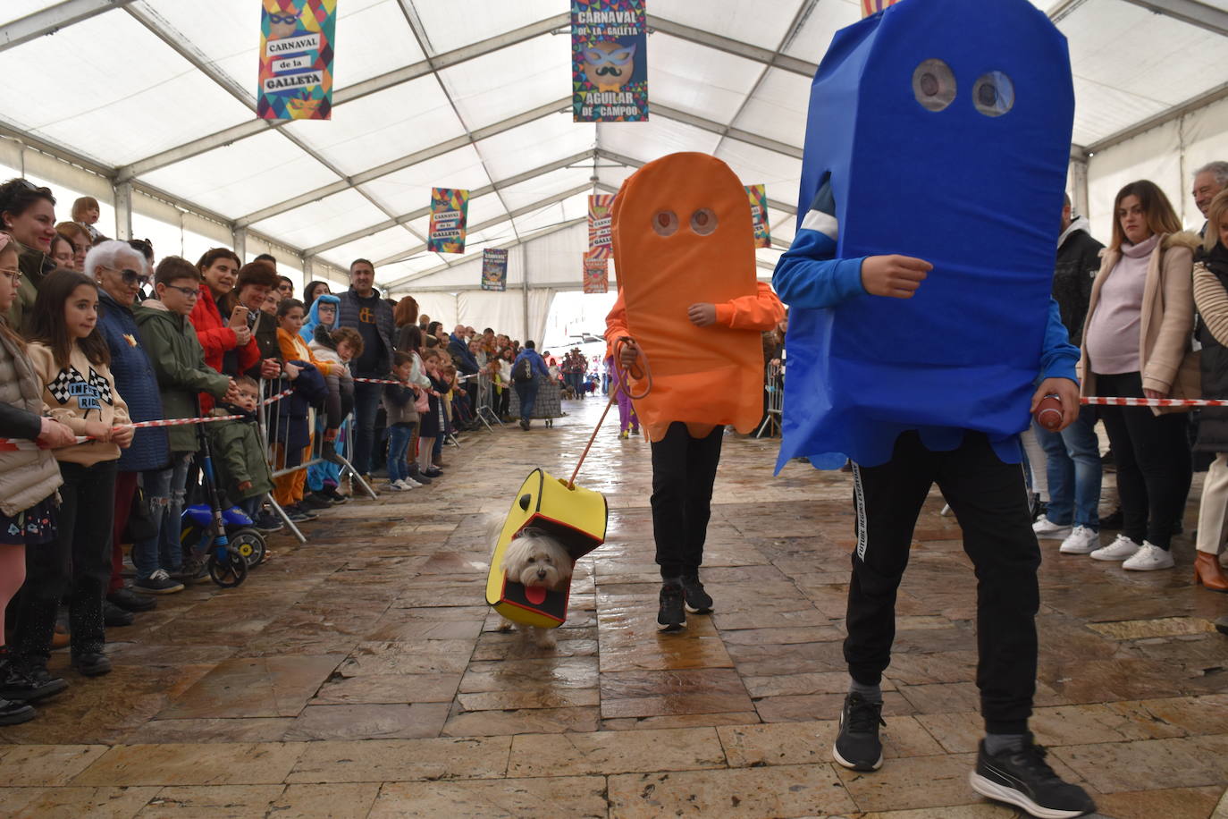 Fotos: Las mascotas se disfrazan en el Carnaval de la Galleta