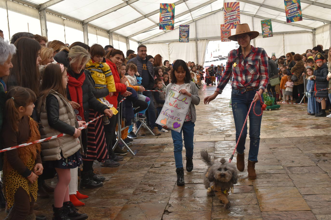 Fotos: Las mascotas se disfrazan en el Carnaval de la Galleta