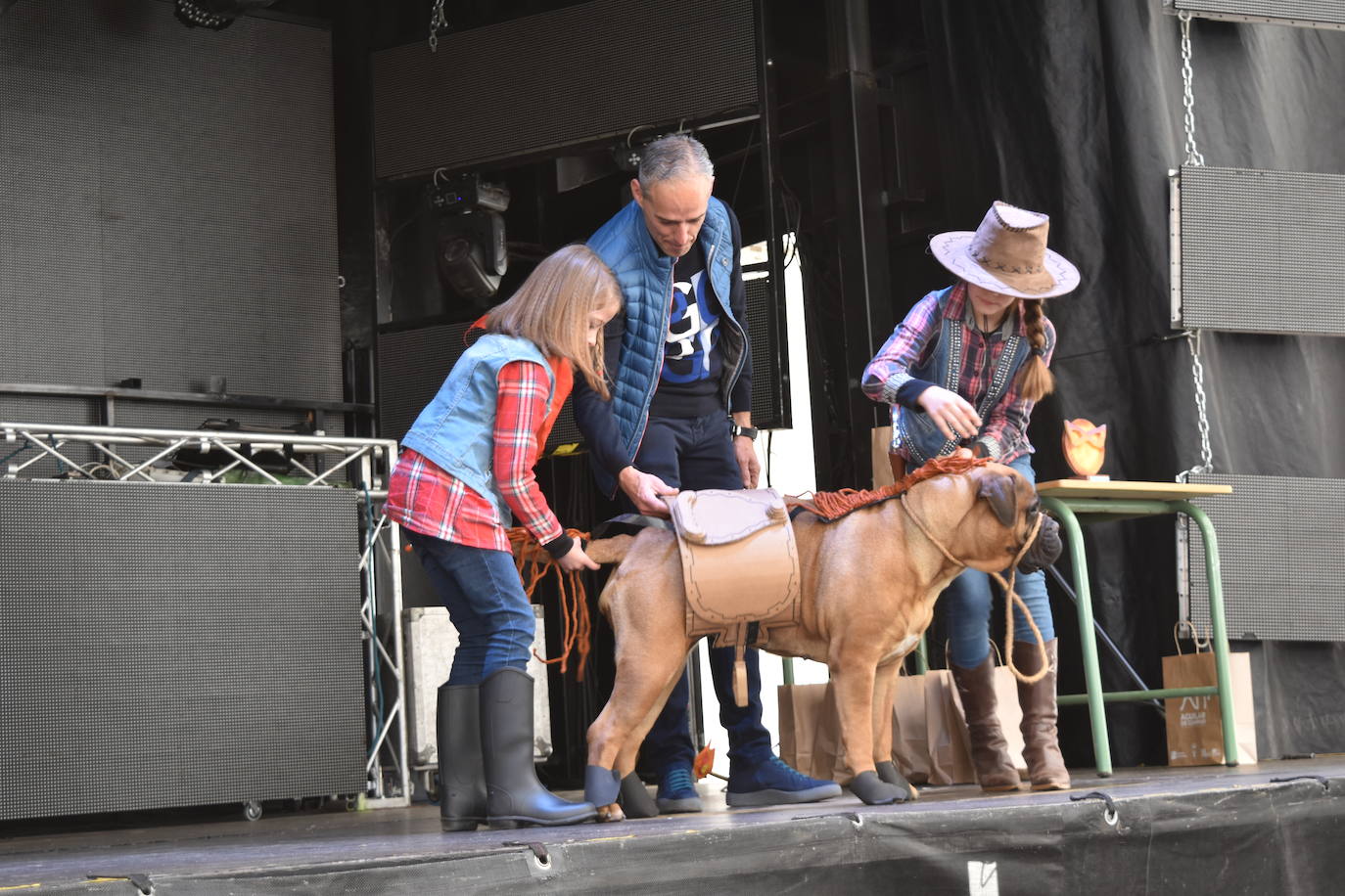 Fotos: Las mascotas se disfrazan en el Carnaval de la Galleta