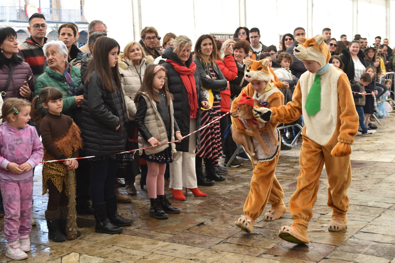 Fotos: Las mascotas se disfrazan en el Carnaval de la Galleta