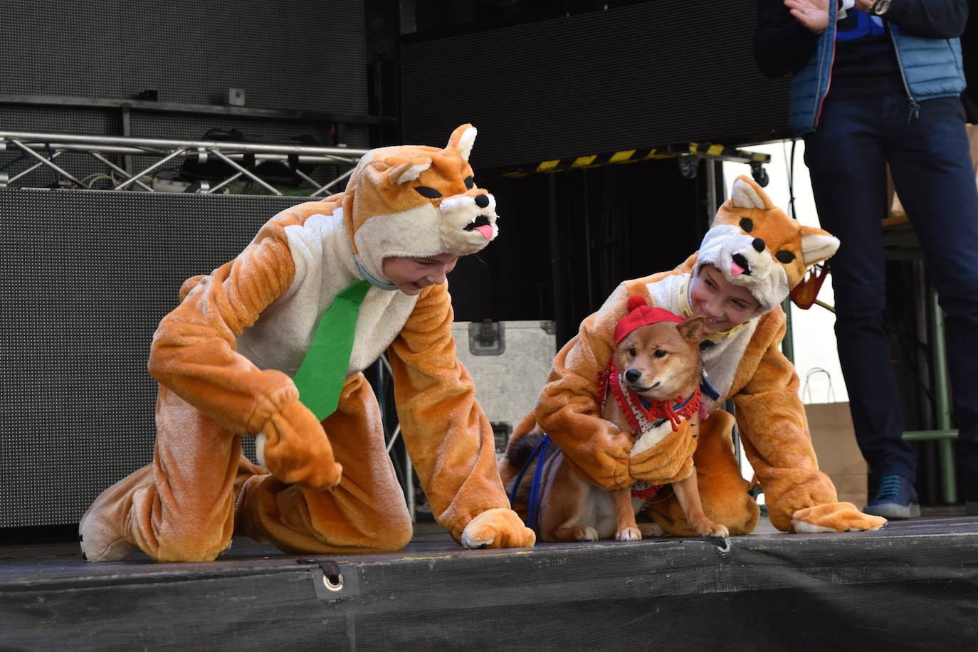 Fotos: Las mascotas se disfrazan en el Carnaval de la Galleta