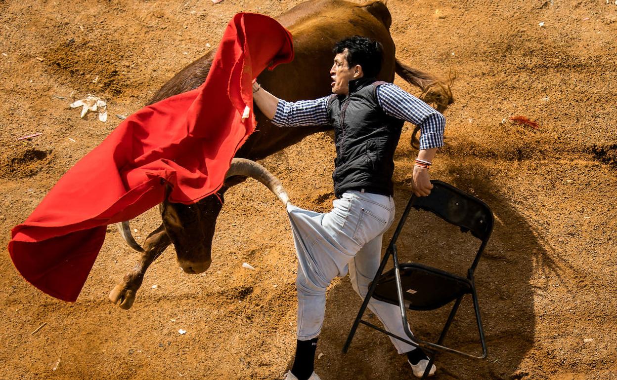 Salamanca: Herido un joven de Cuéllar en el multitudinario encierro a  caballo de Ciudad Rodrigo | El Norte de Castilla