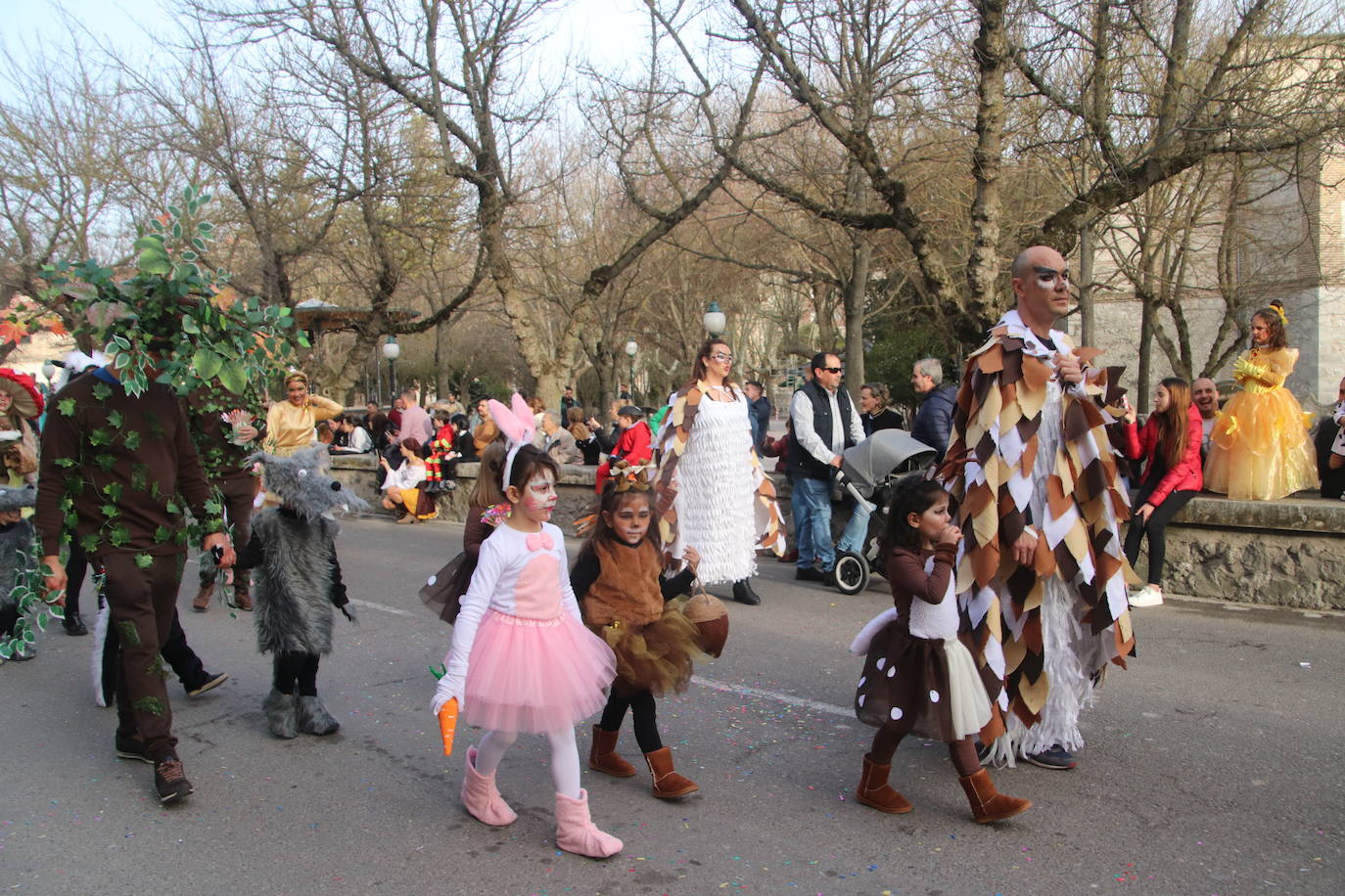 Domingo de Carnaval en Cuéllar. 