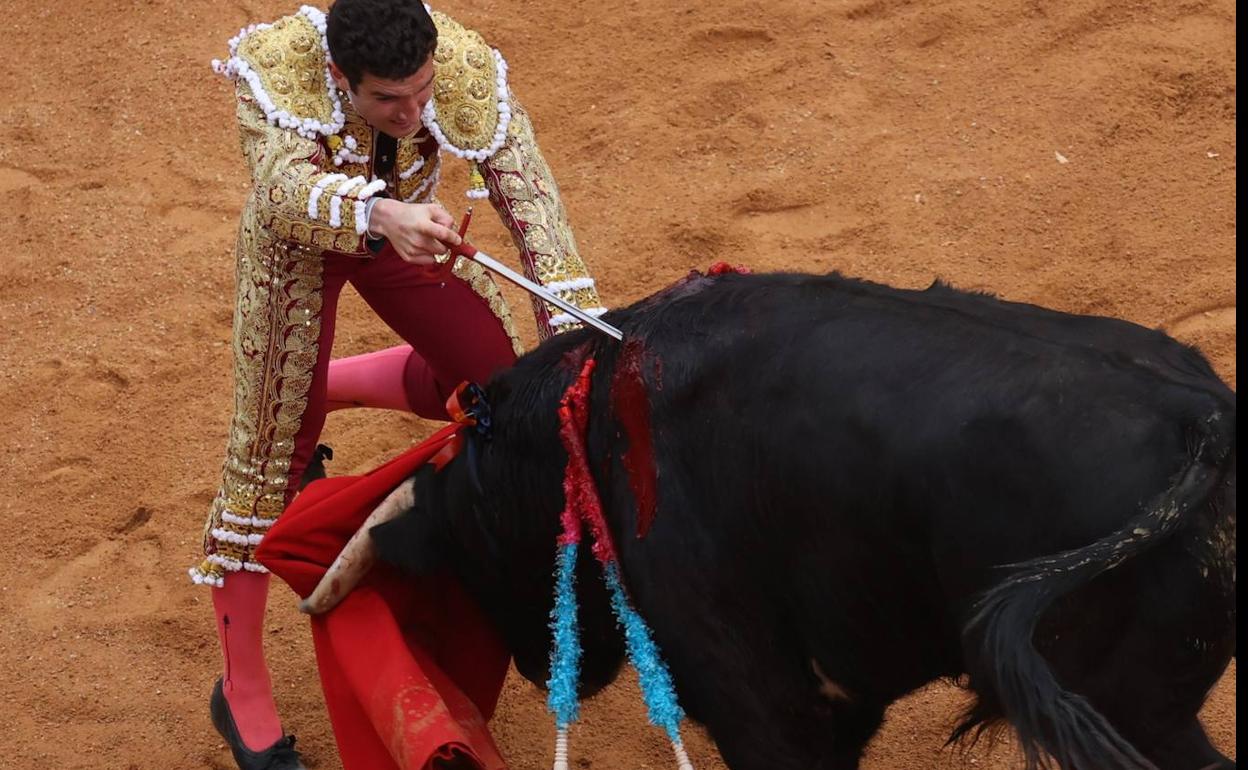 Valentín Hoyos en el momento de entrar a matar, esta tarde en Ciudad Rodrigo. 
