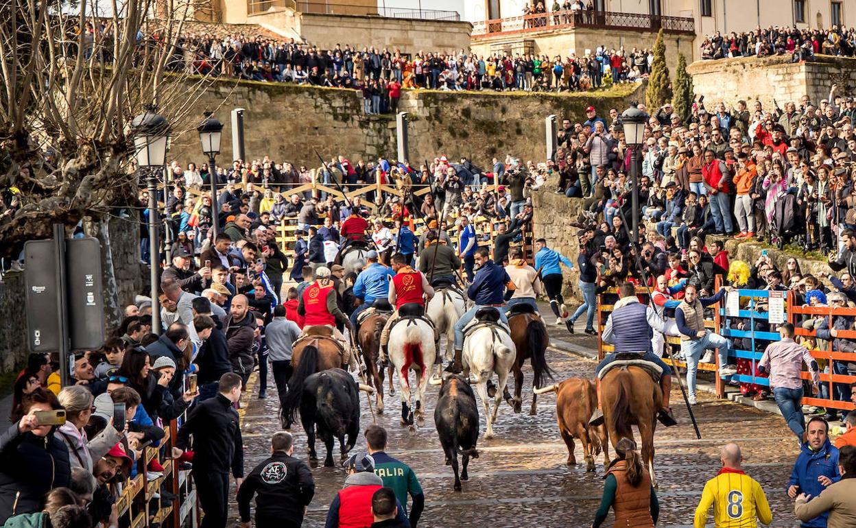 Encierro de Ciudad Rodrigo de este domingo.