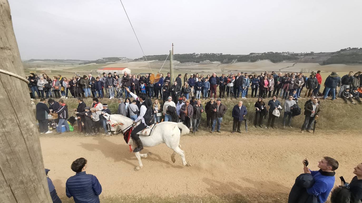Uno de los quintos de Torrelobatón engancha una cinta con el punzón 